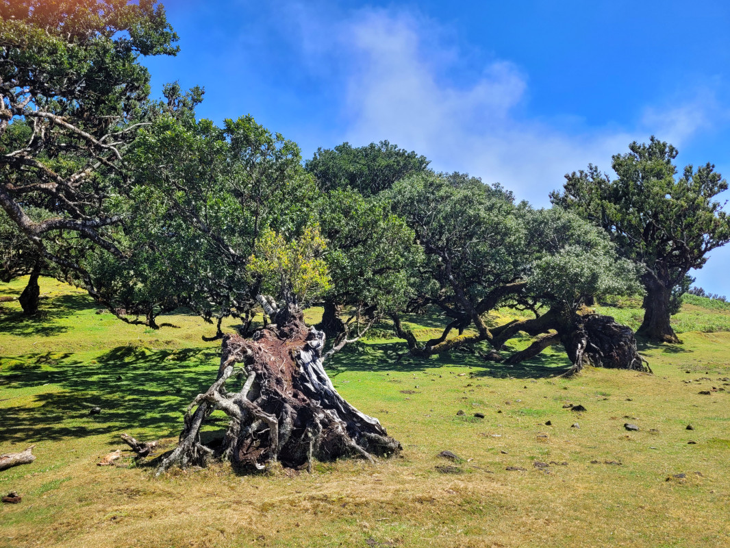 original_20220520_114303