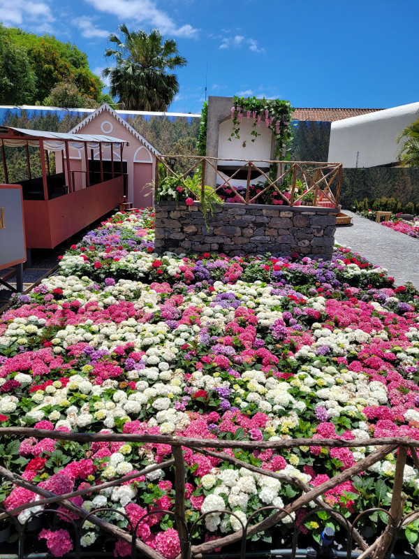 original_20220523_135112