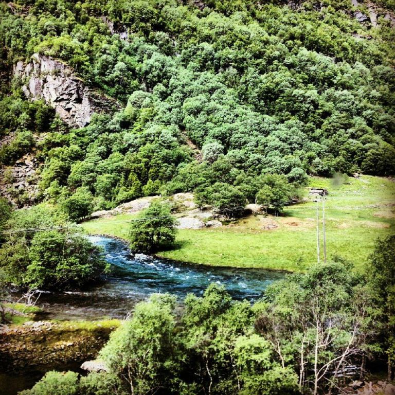 931409_590421250998714_1449250274_n