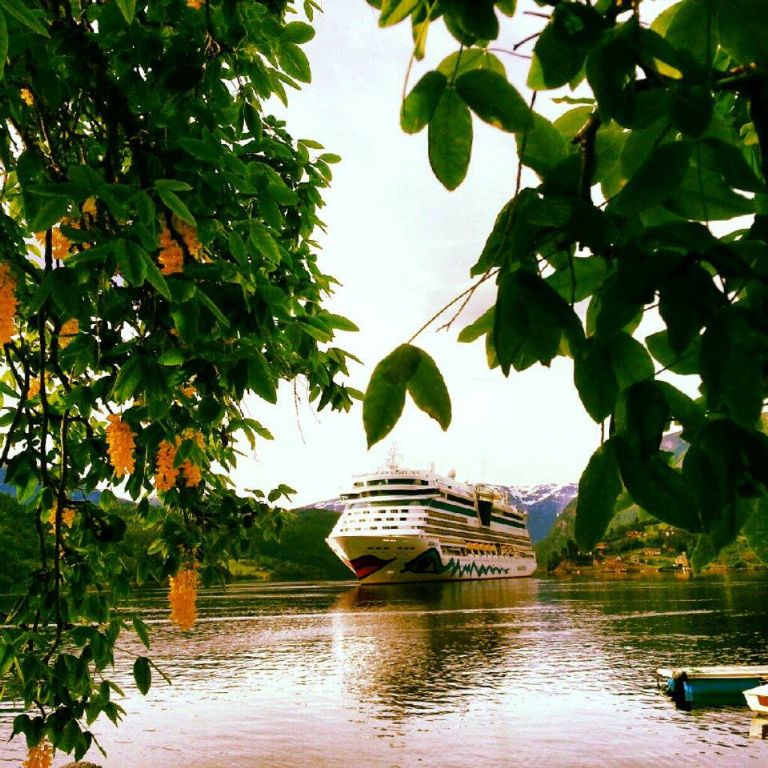 943673_590422124331960_1390797865_n