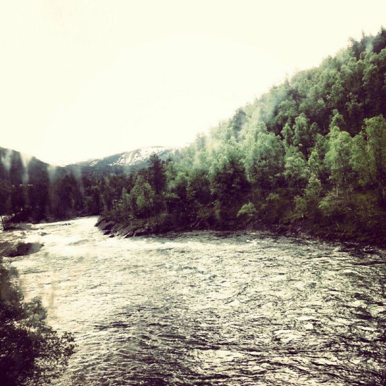 969142_590420920998747_1416646904_n