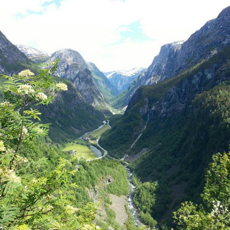 972159_590421584332014_1971312858_n