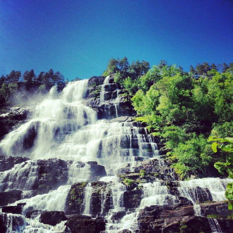 971020_590421664332006_2142803754_n