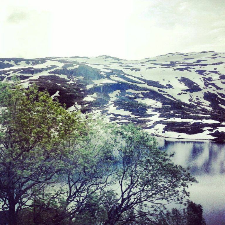 1366_590421847665321_514418284_n