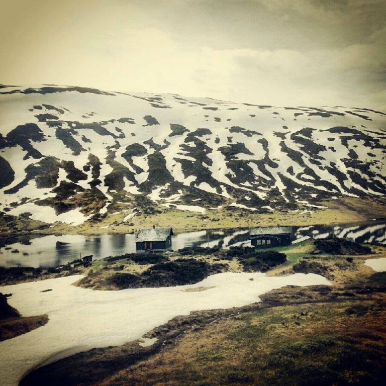 970380_590421264332046_164688703_n