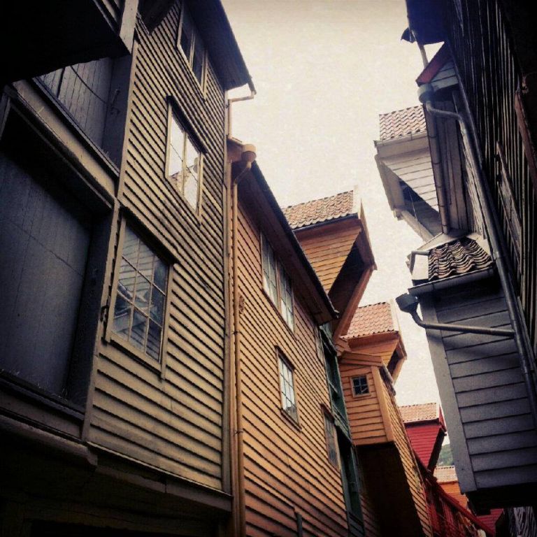 945141_590420967665409_230518196_n