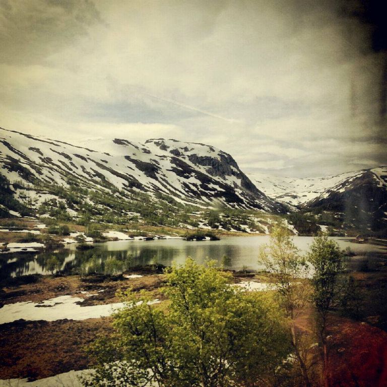 421212_590420917665414_562345801_n