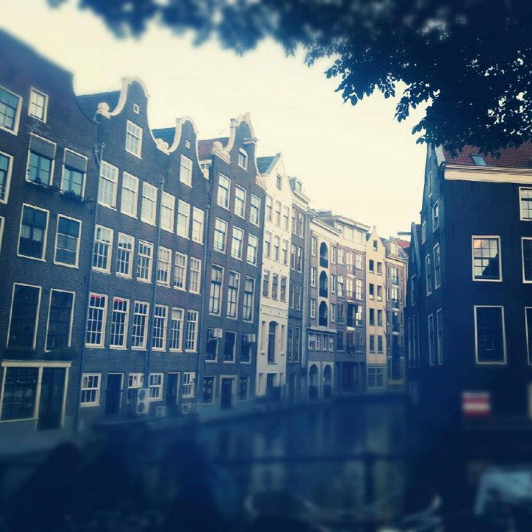 983703_590423290998510_541827287_n