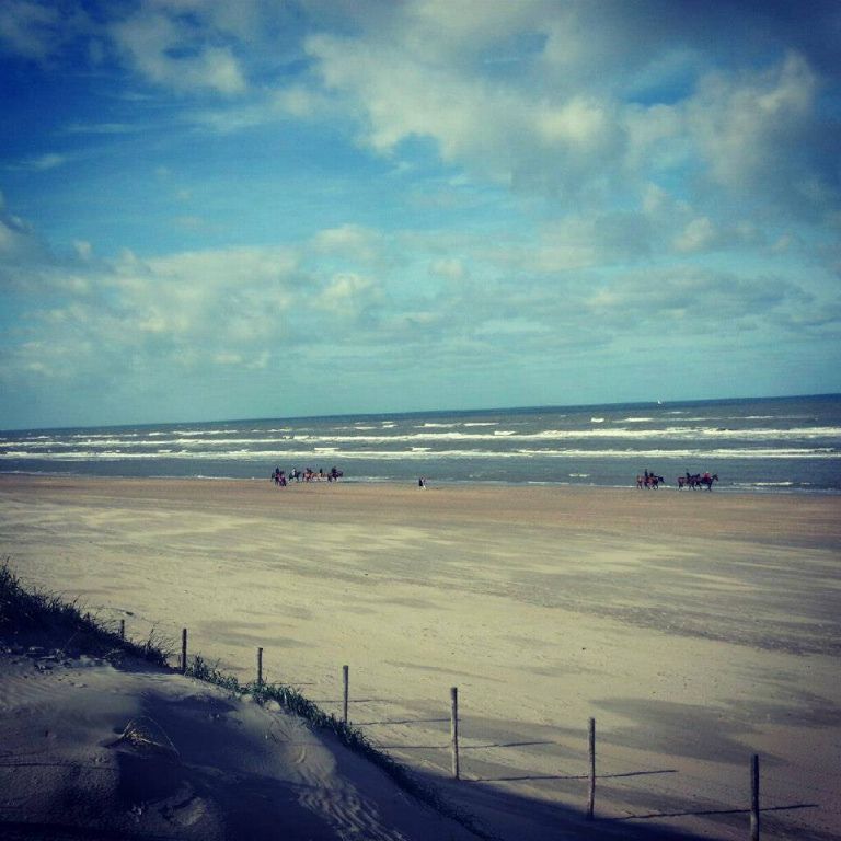 936332_590423297665176_488533283_n