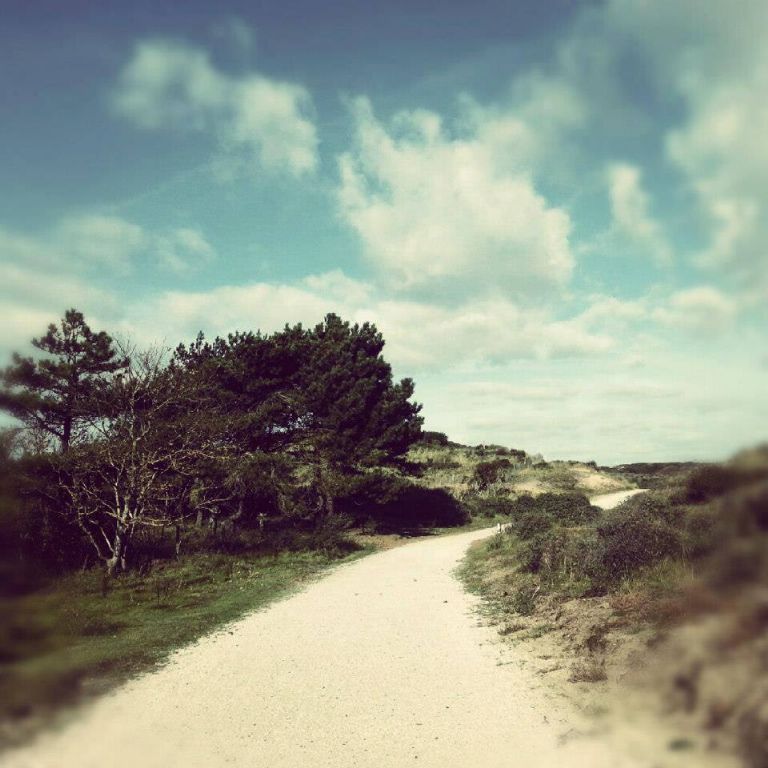 600743_590423610998478_1502040205_n