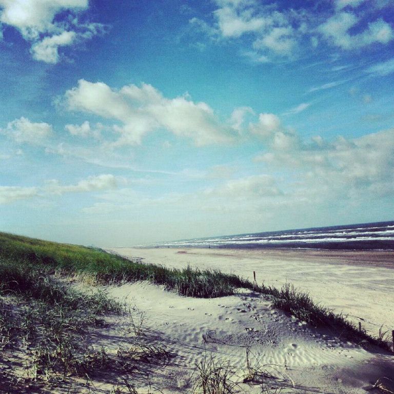 944221_590423577665148_283487568_n