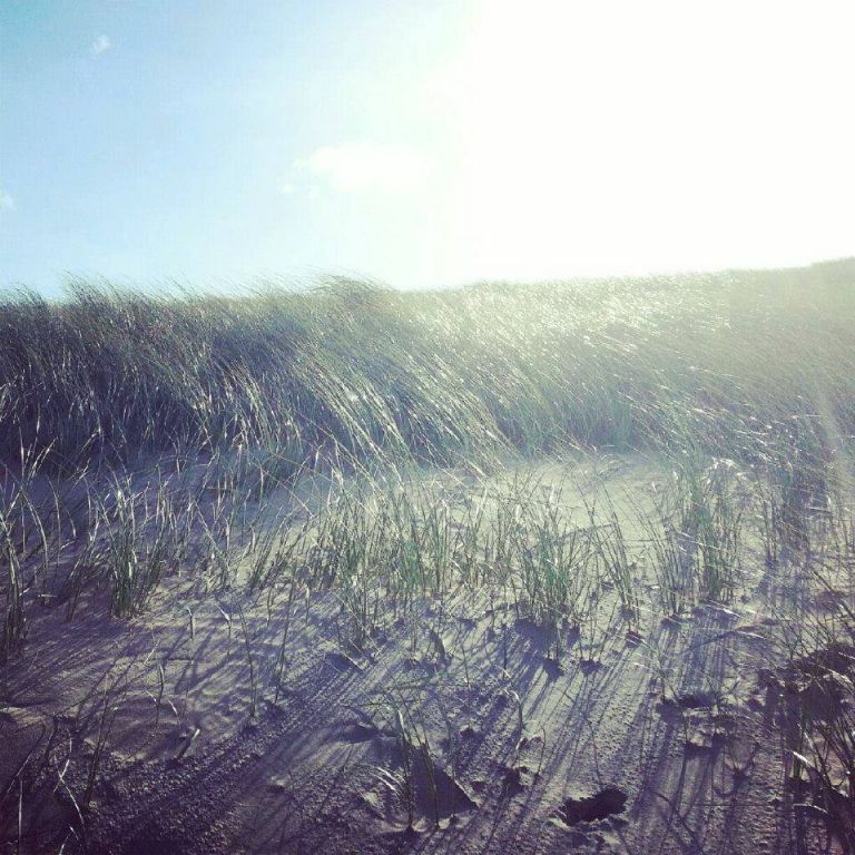 946027_590423177665188_429091347_n