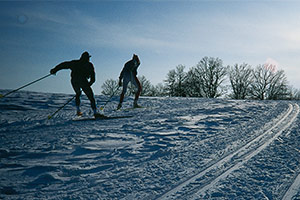 langlauf-winter-02555-ba300