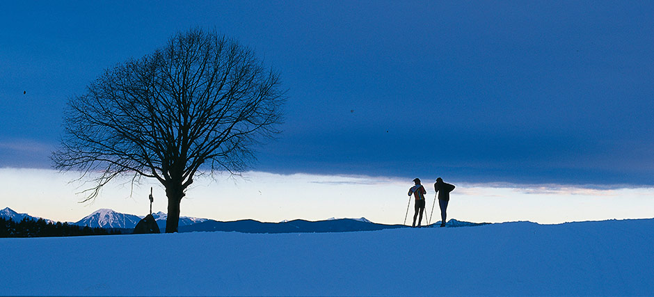 langlauf-winter-02553-bt940