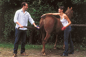 reiten-3153-ba300