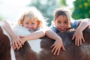 reiten-0015-ba300