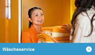 w%C3%A4scheservice