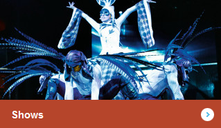 shows