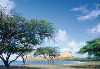 casteries 320x220