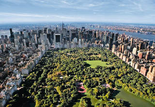 newyork-320x220