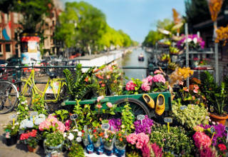 amsterdam-320x220
