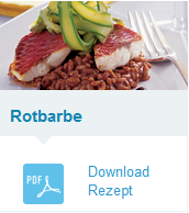rotbarbe