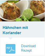 h%C3%A4hnchen%20mit%20koreander
