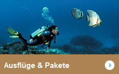 tauchen%20ausfl%C3%BCge