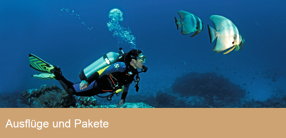 ausfl%C3%BCge%20tauchen