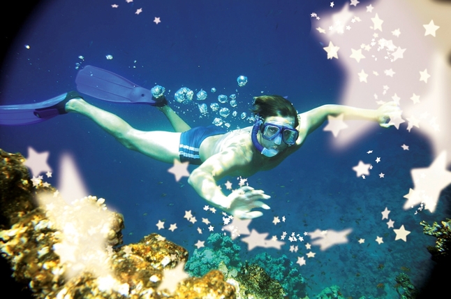 Taucher img 9989 01 df45f73a61 e260087e99