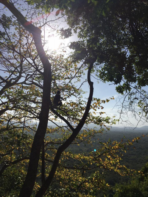 original_14519700_1105917106111202_44502691978711025_n