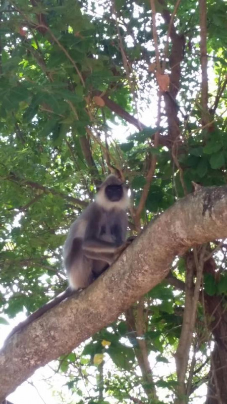 original_14479762_1105914939444752_5540901914098797260_n