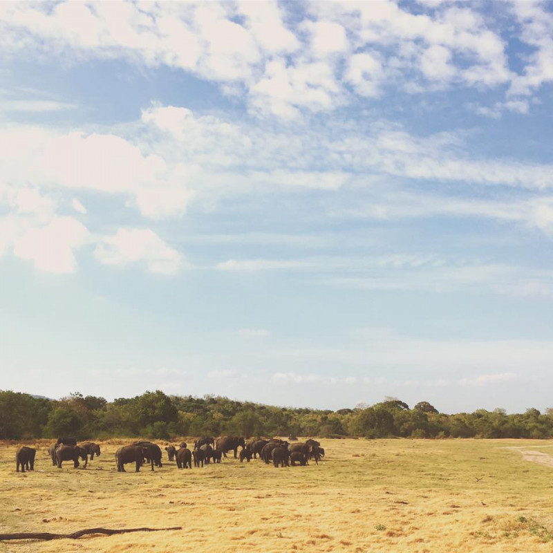 original_14462897_1105917186111194_6538585101709487375_n