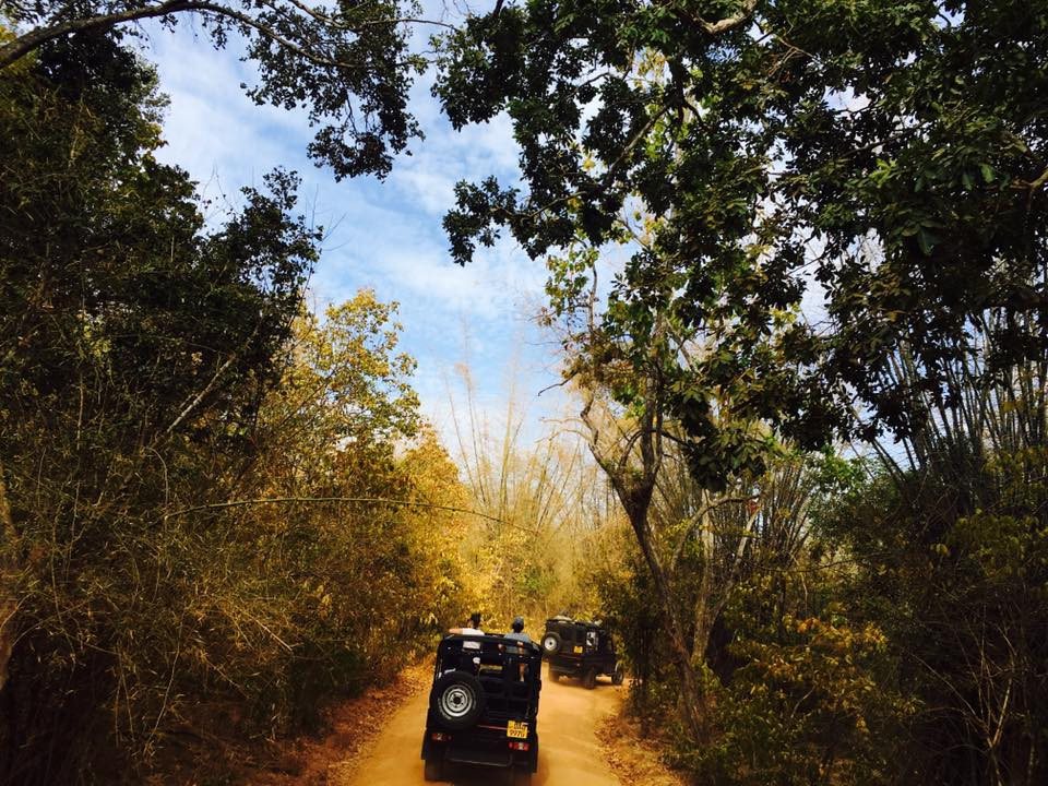 original_14446115_1105917326111180_3467003108389027695_n