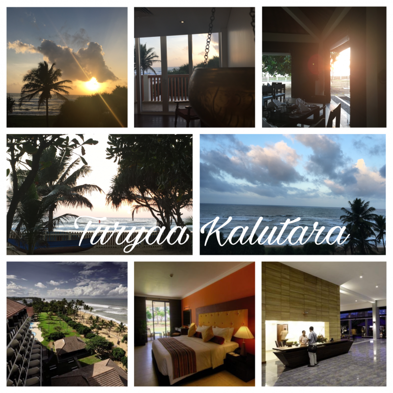 original_turyaa_kalutara