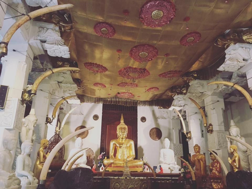 original_14469623_1105914332778146_8260517052660888986_n