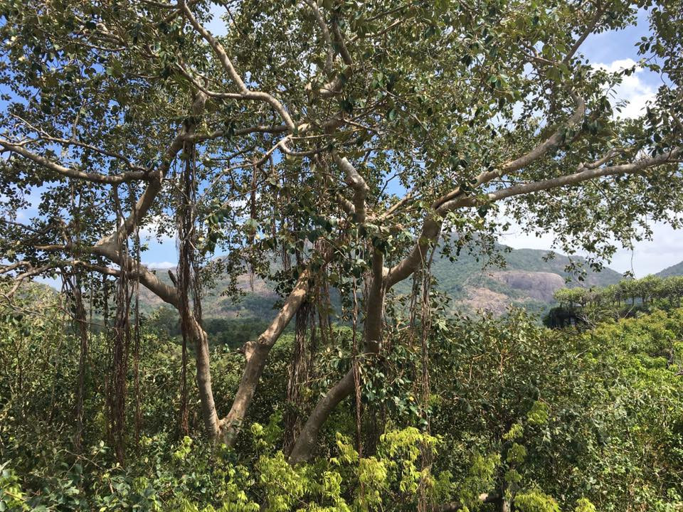 original_14370301_1101944696508443_4847193160474216244_n