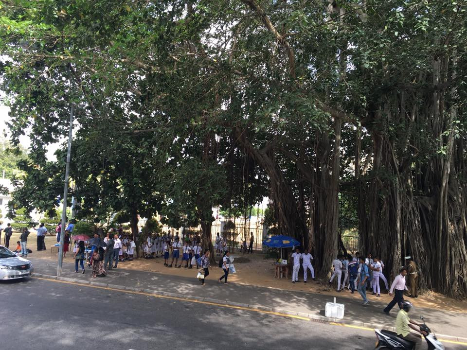 original_14606502_1109655345737378_353823357631515135_n