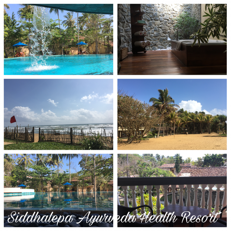 original_siddhalepa_ayurveda