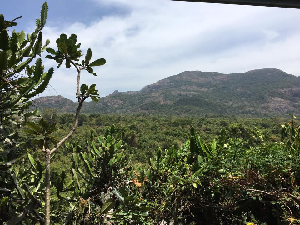 original_14462973_1101944753175104_3006133672707952585_n