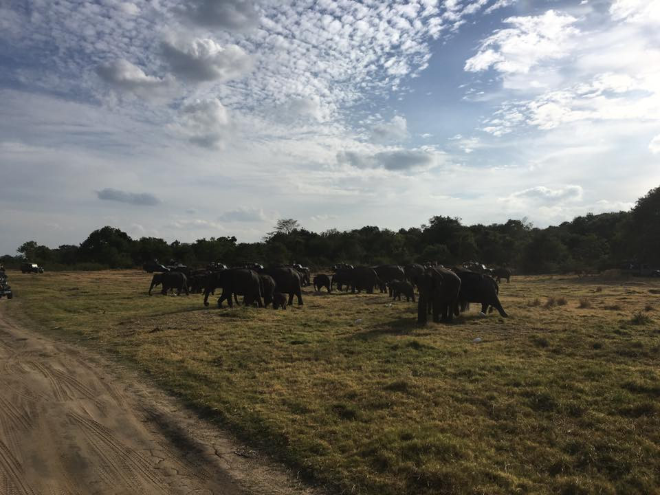 original_14484772_1105917226111190_4706521916669715388_n