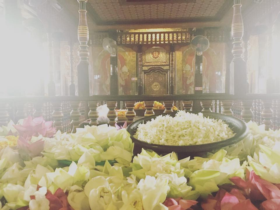 original_14520553_1105914309444815_2508181688782577111_n