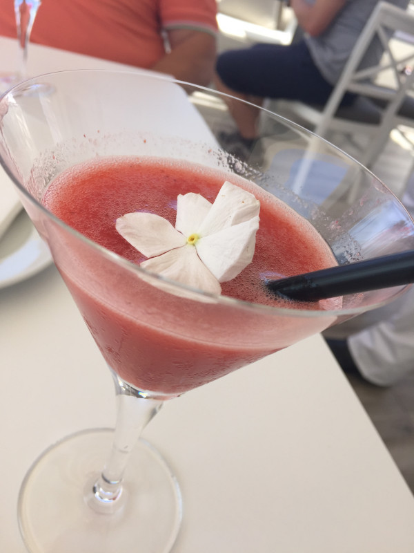 original_allsun_barlovento