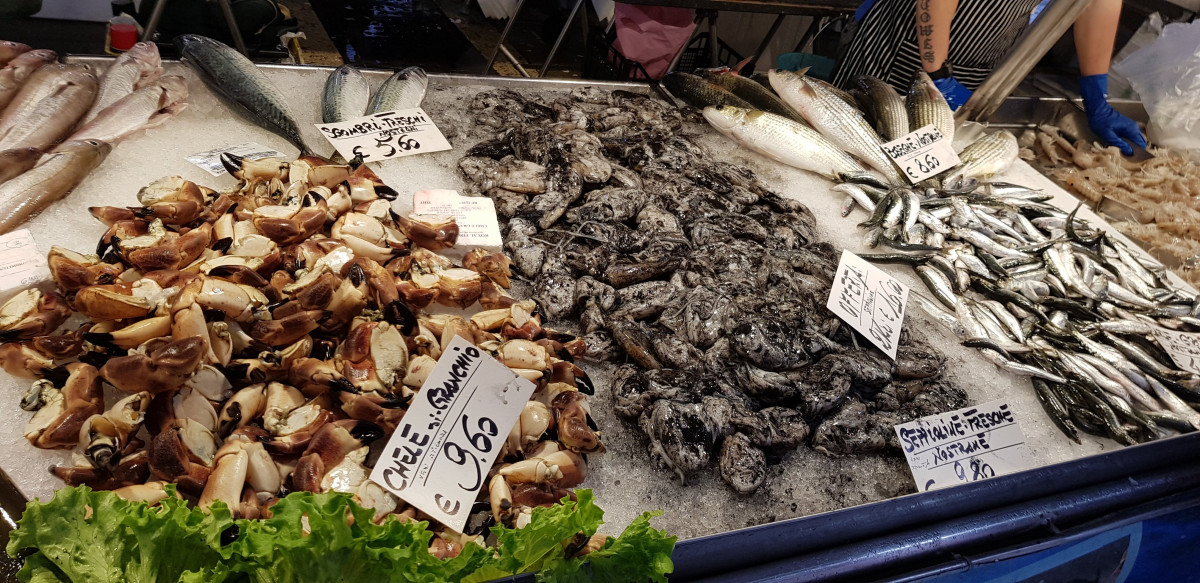 original_20181108_111709